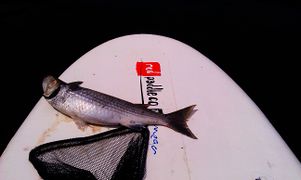 20140722 IMAG2536.jpg