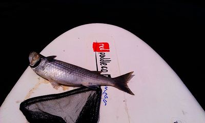 20140722 IMAG2536.jpg