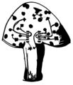 Mushroom Hand Drawn Squaresynth PCB by Mini.jpg