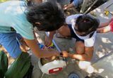 BioFuel Salam 8.jpg