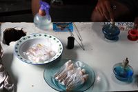 IMG 6583edit.jpg