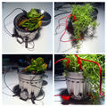 Squaresynth Can Plant 02.jpg