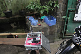 Tourdigrade Day4-2.jpg