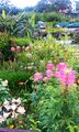 Thumbnail for version as of 13:56, 14 May 2015