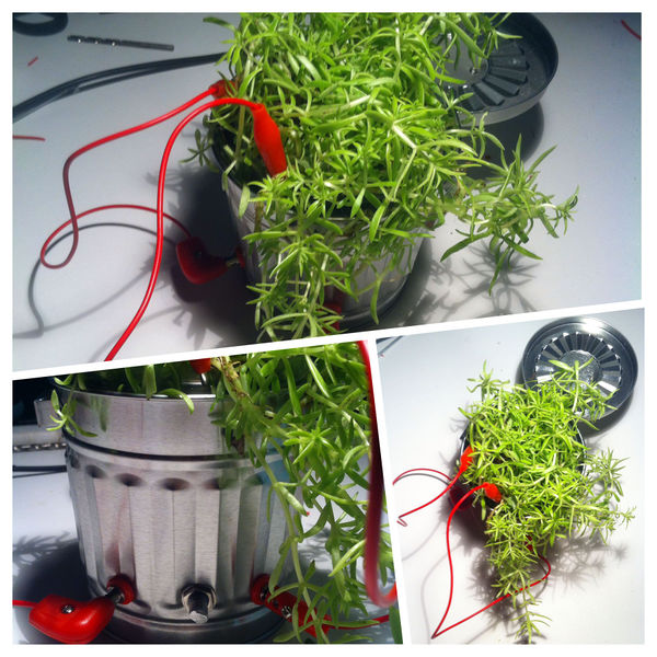 File:Squaresynth Can Plant 01.jpg