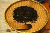 Workshop Kongkow Coffee 03.jpg
