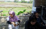 BioFuel Salam 11.jpg