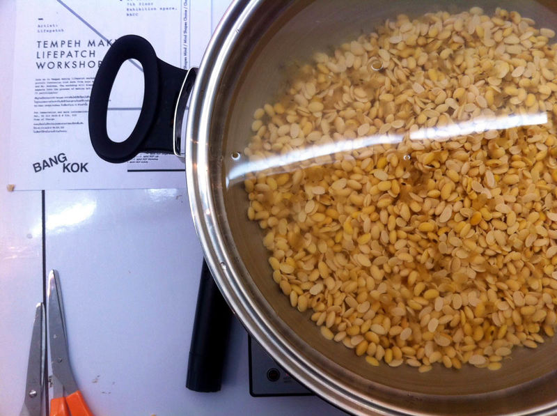 File:Tempeh Making Workshop BACC-12.jpeg