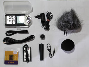 Zoom audio recording.jpg