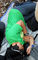 JRP 2012 (75).JPG