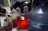 Survive Fermented 05.jpg