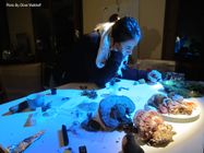 BioHackKlontal11.JPG