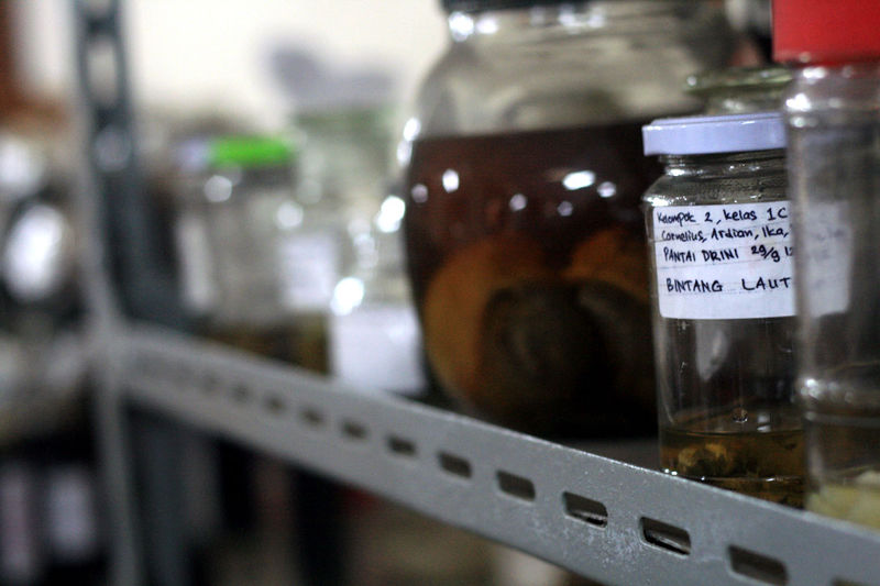 File:Workshop peralatan lab generik PGSD USD 27.jpg