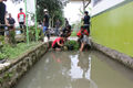 Thumbnail for version as of 03:47, 8 April 2014