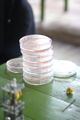 Workshop Swab Test 16.jpg