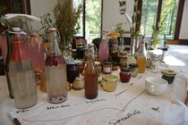 BioHackKlontal12.JPG