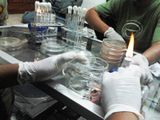 Workshop Pengujian Ecoli 11.jpg