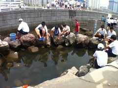 20140703 IMG 0781.JPG