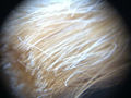 Thumbnail for version as of 12:14, 25 May 2013