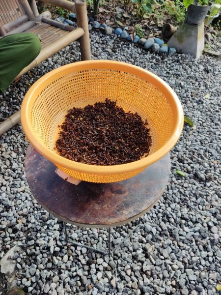 File:DL-Clove-Prepare 07.jpg