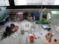 Thumbnail for version as of 17:20, 27 March 2012