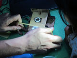 DIY microscopy dusjagr SD Tumbuh 21.JPG