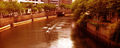 Thumbnail for version as of 12:01, 8 August 2014