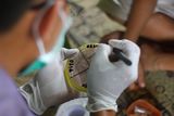 Workshop Swab Test 18.jpg