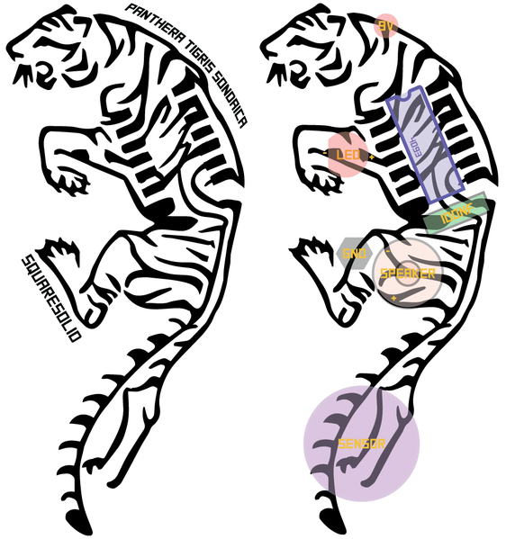 File:Tiger biosynth PCB and layout.png