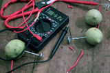 Workshop Bioartnergy 2012 - Listrik Buah-buahan30.JPG