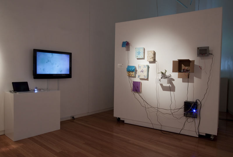 File:DLab Retrospective - Wagga Wagga City Gallery 2.jpg