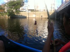 20140726 IMG 1631.JPG