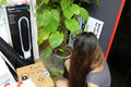 Squaresynth Workshop SG 17.JPG