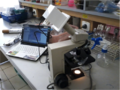 Stereo Microscope to Digital Converter Kit-1.png