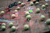 Workshop Bioartnergy 2012 - Listrik Buah-buahan29.JPG