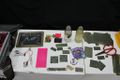 Tourdigrade ruru 1 IMG 0451.JPG
