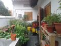 Tanaman di rumah komunitas edible garden singapura-1.jpg