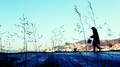 Thumbnail for version as of 19:00, 29 November 2014