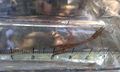 Thumbnail for version as of 16:50, 8 August 2014