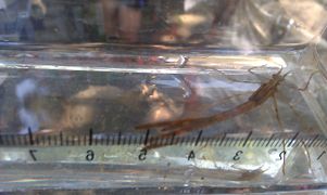 20140726 IMAG2687.jpg