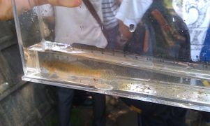 20140726 IMAG2683.jpg